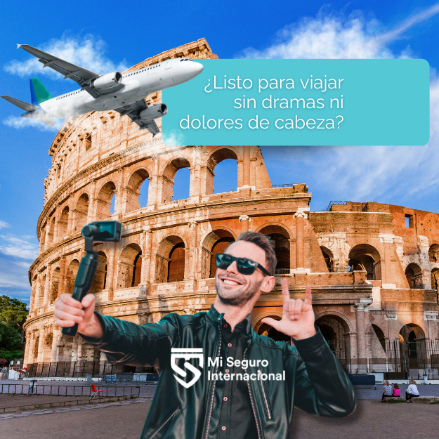 PAGINA WEB ELEMENTOS MSI